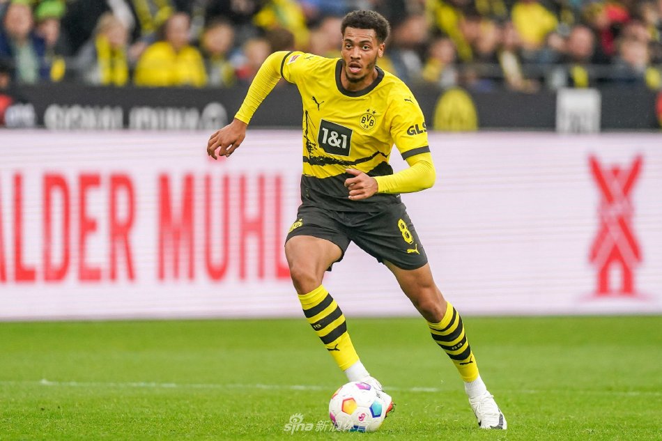 量粉丝的关 量粉丝的关